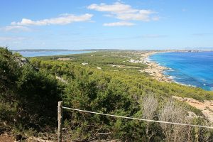 Natuurexcursies in Formentera